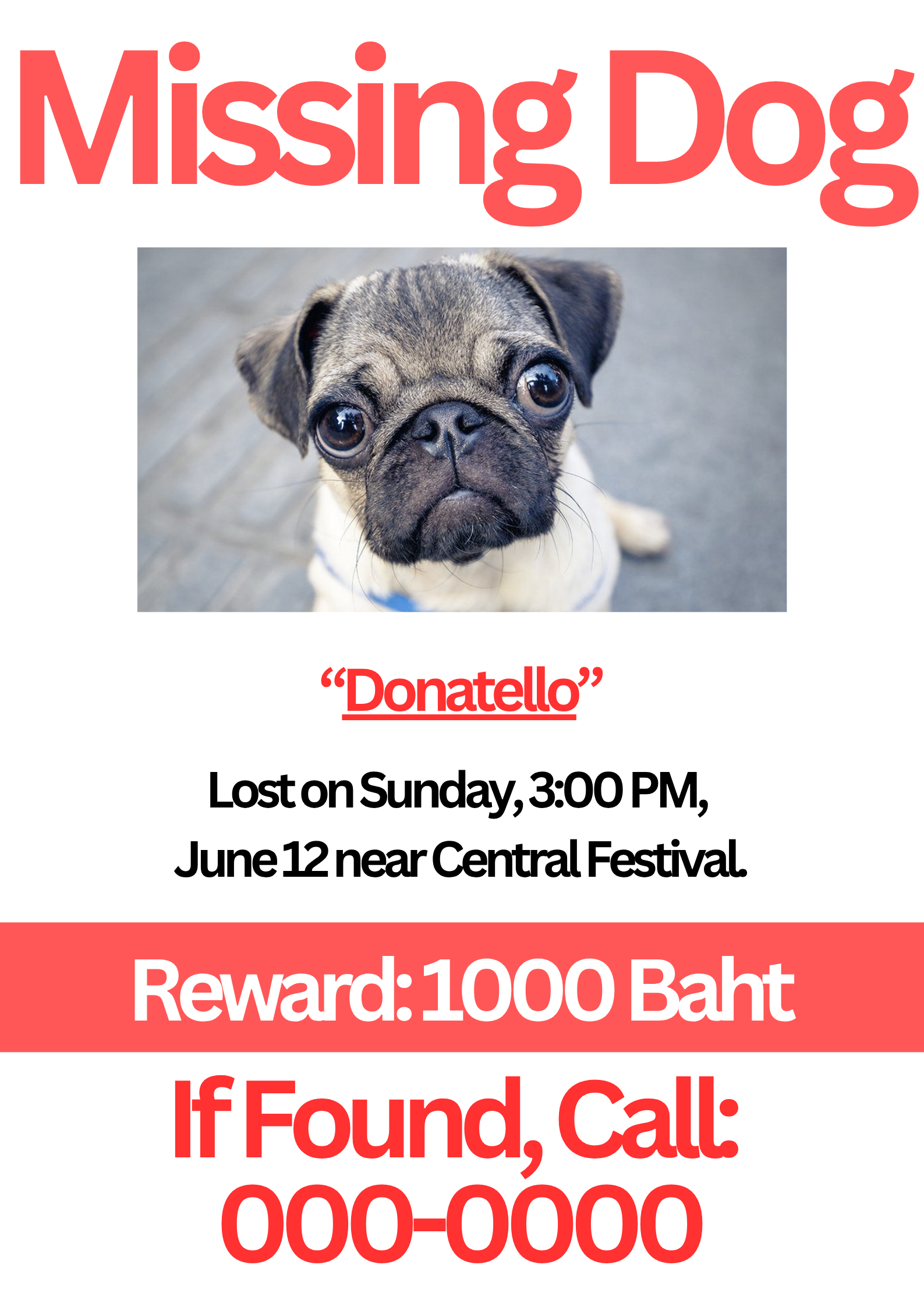 Missing Dog Donatello